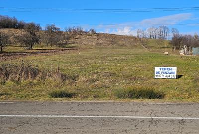 Teren de 5600 mp, în Bălaia - 2