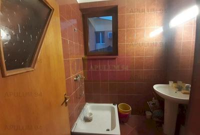 Casă individuală cu 12 camere decomandat cu Teren 400 Mp în Ghencea - 29