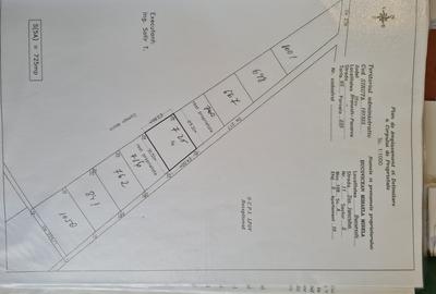 Branesti, Pasarea, Ilfov - 2
