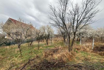 Teren intravilan de vanzare, 1.200mp, zona Porolisum - 3