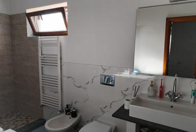 Duplex cu teren 1000 m.p. - Drumul Muntenilor - 12