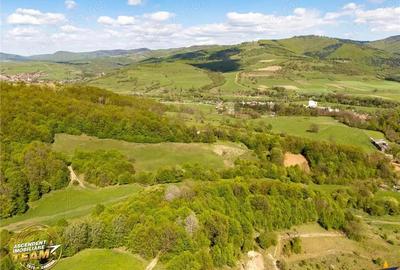 FILM! Teren extravilan cu priveliste deosebita, 11.306 mp, Malnas-Bai, Covasna - 6