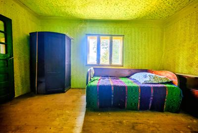 CASA TRADITIONALA, ANEXE si 46.980 mp teren partial INTRAVILAN BULZ - BIHOR - 46