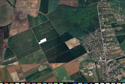 Vanzare 22.169 mp teren intravilan Saftica, Comuna Balotesti, jud. Ilfov - 1