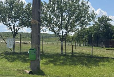 Teren de 500 mp, în Felcheriu - 5