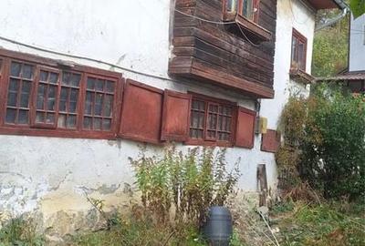 Casă cu 3 camere în Furnica - 7