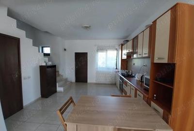 Casa de inchiriat Domnesti - 9