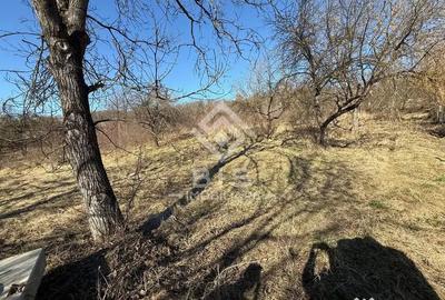 Teren în Central - 2