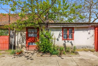 Casă individuală cu 4 camere cu Teren 1007 Mp în Horia - 17