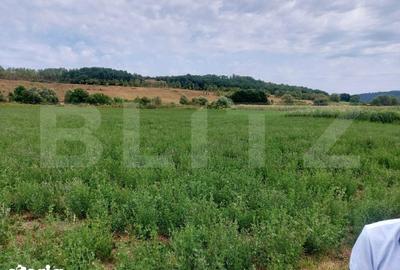 Teren de 27500 mp, în Iclod - 3