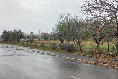 Teren de 3200 mp, în Valu lui Traian - 5