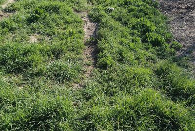 Teren Construcții intravilan de 400 mp, în Poiana - 4