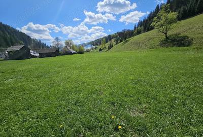 Teren de vanzare in Bucovina zona Pojorata pe Transrarau - 9