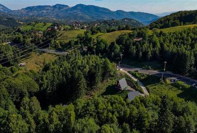 FILM! Ansamblu in circuit hotelier,5.700mp teren,Moieciu,constructie 2025 - 29