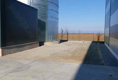 Hala noua, 7014mp, de vanzare, in Biharia, la 3km de autostrada - 5