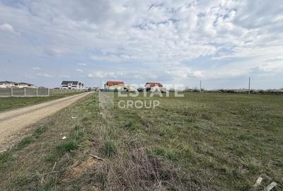 Teren Construcții intravilan de 1979 mp, în Moșnița Nouă - 6