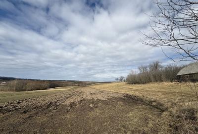 Teren Construcții intravilan de 1556 mp, în Horodnic de Jos - 4