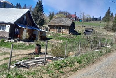 Vând casa batraneasca și teren 3892m - 6