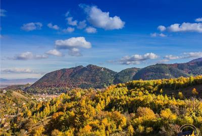 Vila premium,arhitectura distinsa,areal privat,Drumul Poieni - 11