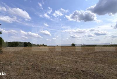 Teren de 29600 mp, în Șimnicu de Sus - 13