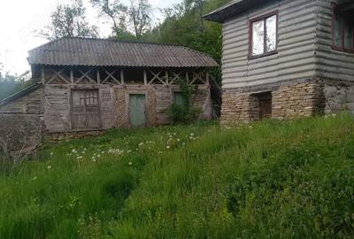 Casa batraneasca de Vanzare - 4