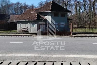 Casă cu Teren 2000 Mp în Laz - 11