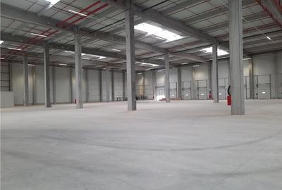 Spatiu Industrial - 900 mp - Logistica - Depozitare - Distributie - 11