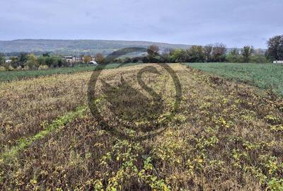 Teren intravilan de vanzare | 3.084mp | Plavia - Urlati |... - 3