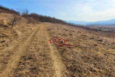 Teren intravilan,cartier Gusterita,Sibiu,comision 0 - 3