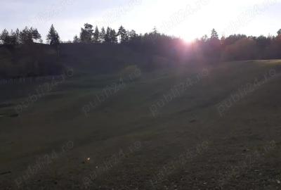 Teren de 13700 mp, în Nereju - 8