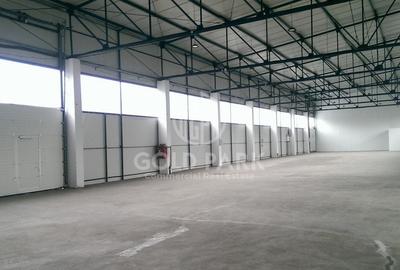 Depozit/Hala - In Park  Industrial - Someseni