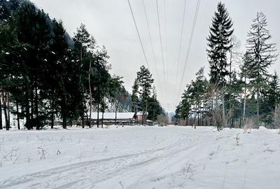 Teren Construcții intravilan de 800 mp, în Bunloc - 6