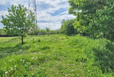 Teren de 5991 mp, în Fălticeni - 4