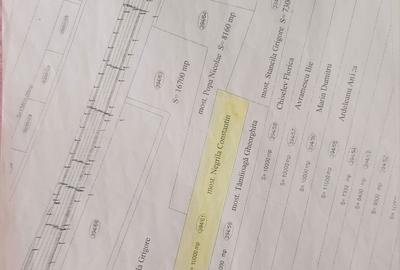 Spațiu comercial, în Central