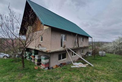 Casă cu 4 camere în Nadăș