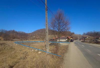 Teren intravilan in Brad - 2
