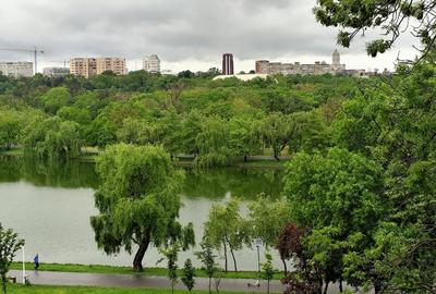 Apartament cu 2 camere semidecomandat în Calea Victoriei - 1