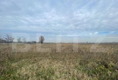 Teren extravilan agricol 5792 mp Popoveni - 2