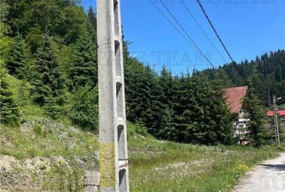 Teren de 1936 mp, în Clăbucet