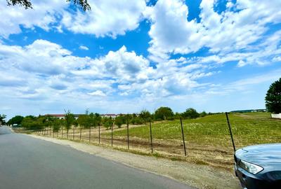 Corbeanca Vanzare teren intravilan stradal Corbeanca Vanzare teren intravilan stradal - 3