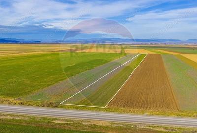 Teren 10,000mp Tarlungeni - 2