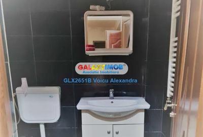 Apartament cu 2 camere decomandat, mobilat în Berceni - 8