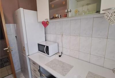 Apartament cu 2 camere decomandat, mobilat în Tudor Vladimirescu - 10