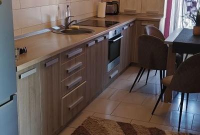 Apartament cu 2 camere decomandat în Bârzești - 6