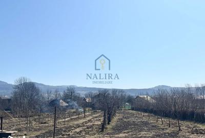 Casă cu 3 camere decomandat cu Teren 5000 Mp în Șișești - 16