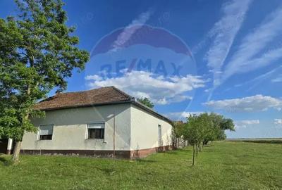 Casa cu livada 2880 mp in Adea la 4km de Chi?ineu-Cri? - 6