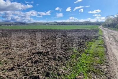 Teren de 15000 mp, în Central - 5