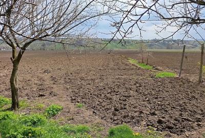 Casă cu 4 camere cu Teren 3045 Mp în Oțeleni - 4