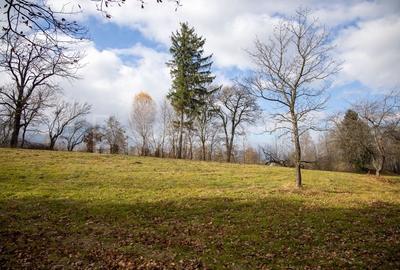 Teren intravilan, cu PUZ, Bran Tohanita,  SE ACCEPTĂ ȘI SCHIMB - 20