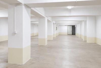 Spațiu industrial, de 245 mp, în Bucur Obor - 2